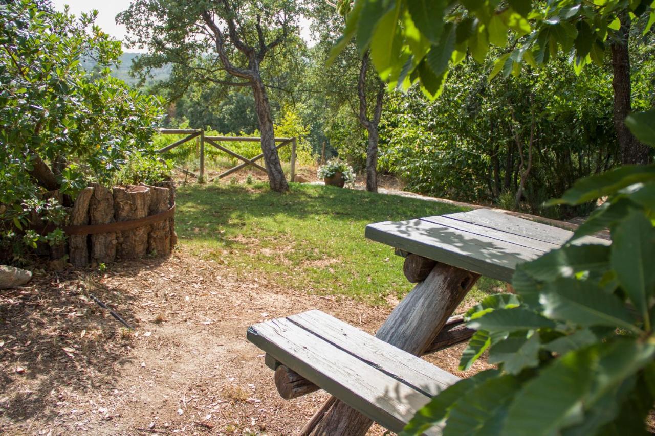 La Simona Casa Rural Perales del Puerto 외부 사진