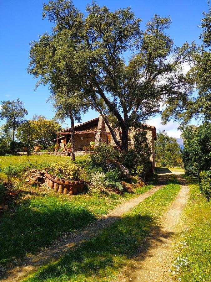 La Simona Casa Rural Perales del Puerto 외부 사진