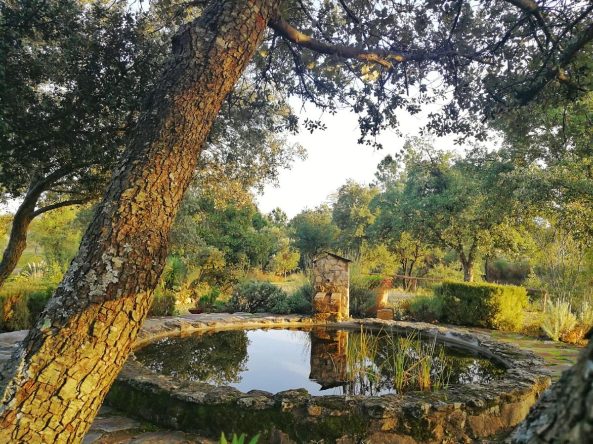 La Simona Casa Rural Perales del Puerto 외부 사진