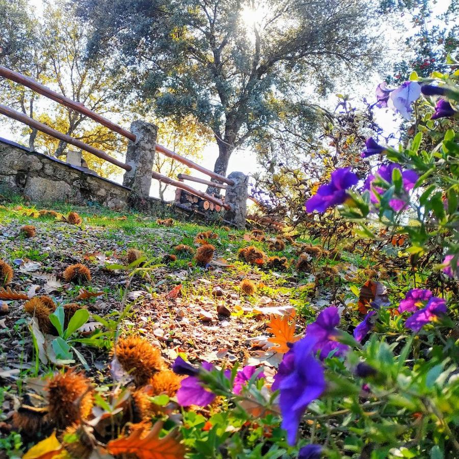 La Simona Casa Rural Perales del Puerto 외부 사진