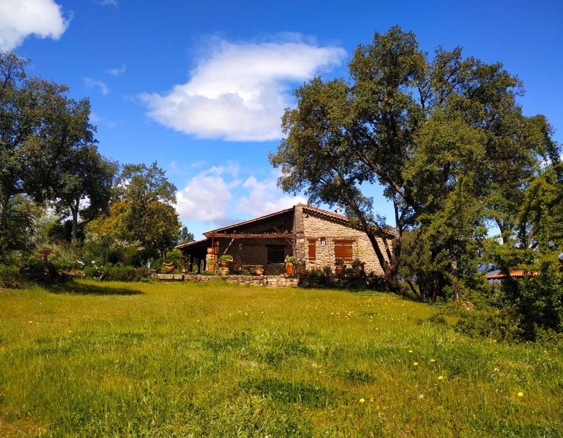 La Simona Casa Rural Perales del Puerto 외부 사진
