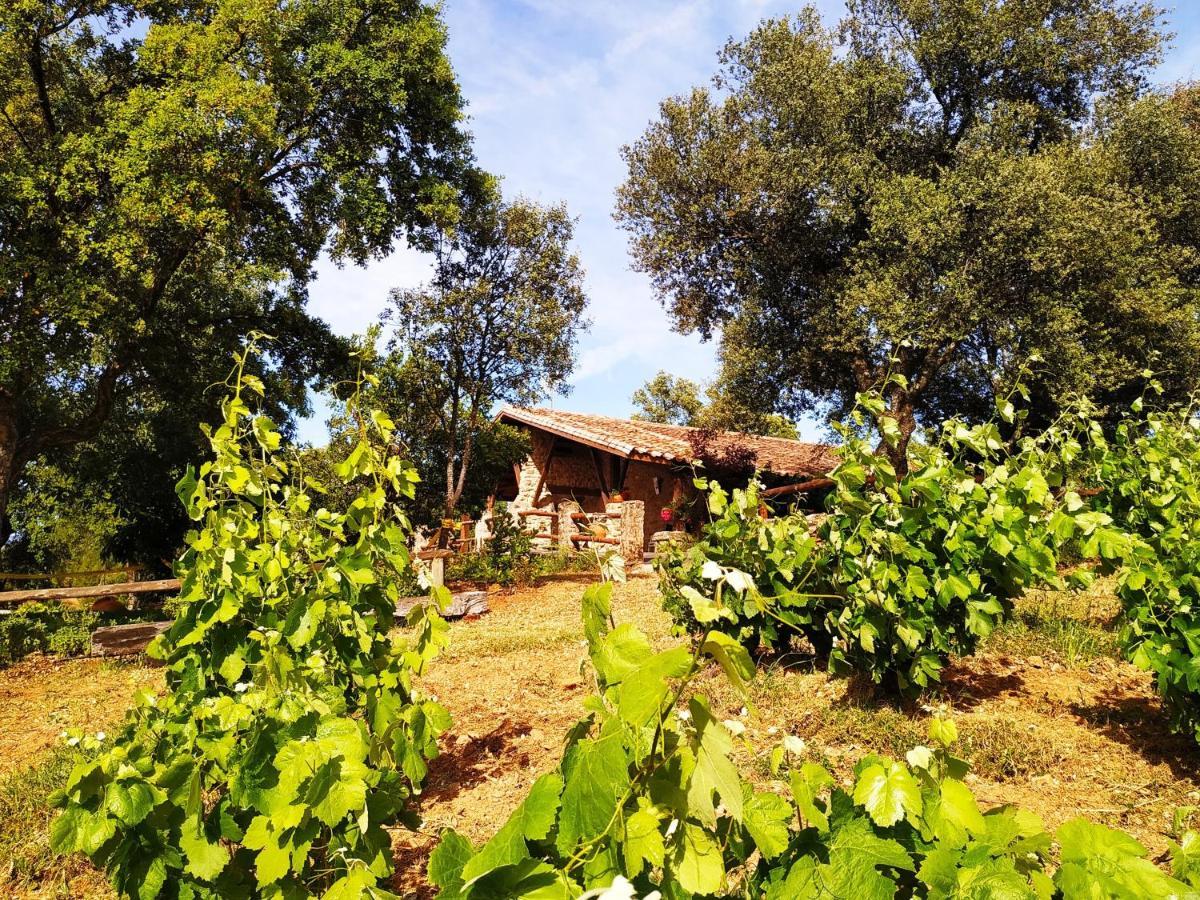 La Simona Casa Rural Perales del Puerto 외부 사진